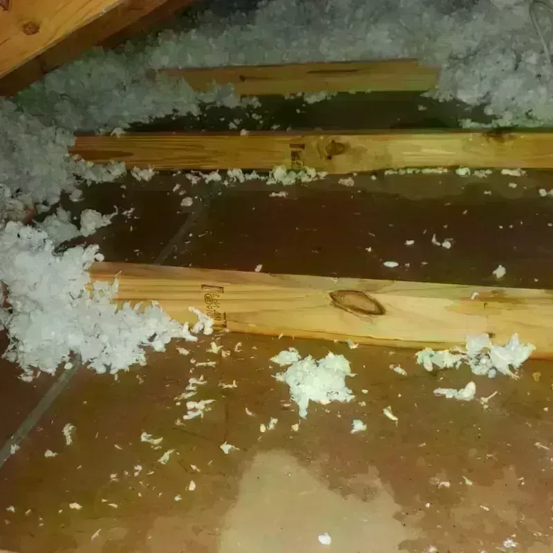 Attic Water Damage in Monroe, WA