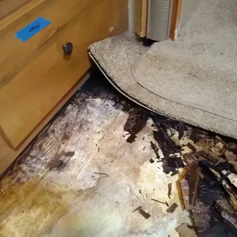 Wood Floor Water Damage in Monroe, WA